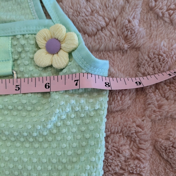 2/$10 🐾 New Size Large Floral Mint Green Dog Dress 🐾 - Picture 6 of 8